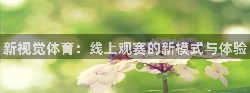 新视觉体育：线上观赛的新模式与体验