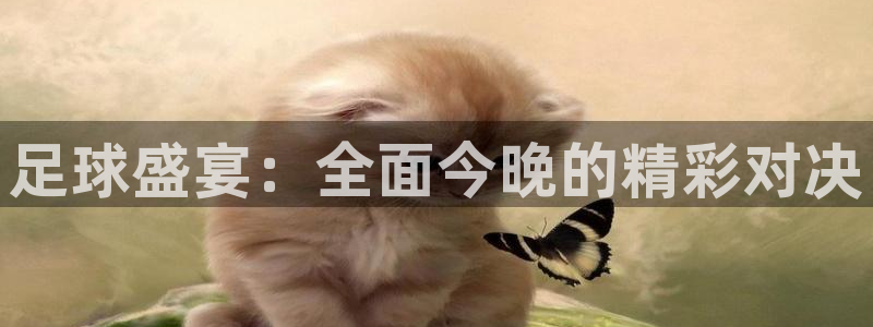 足球盛宴：全面今晚的精彩对决