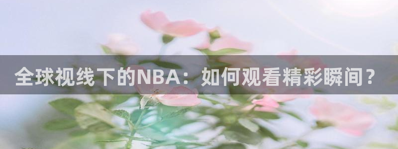 全球视线下的NBA：如何观看精彩瞬间？
