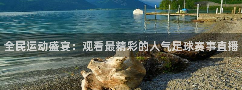 全民运动盛宴：观看最精彩的人气足球赛事直播