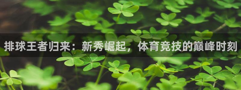 排球王者归来：新秀崛起，体育竞技的巅峰时刻