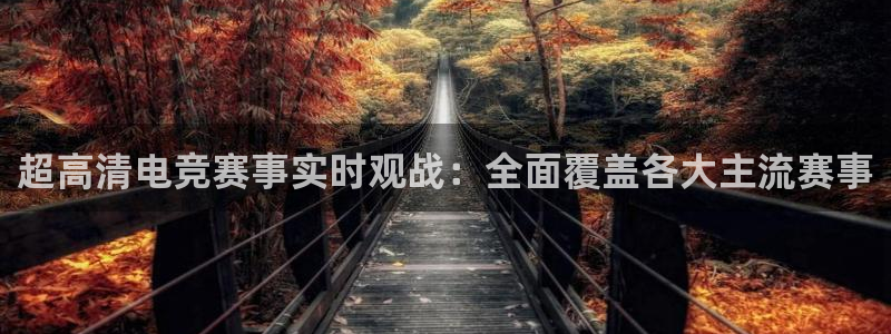 超高清电竞赛事实时观战：全面覆盖各大主流赛事