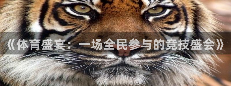 《体育盛宴：一场全民参与的竞技盛会》