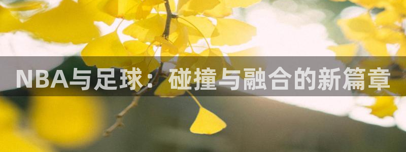 NBA与足球：碰撞与融合的新篇章
