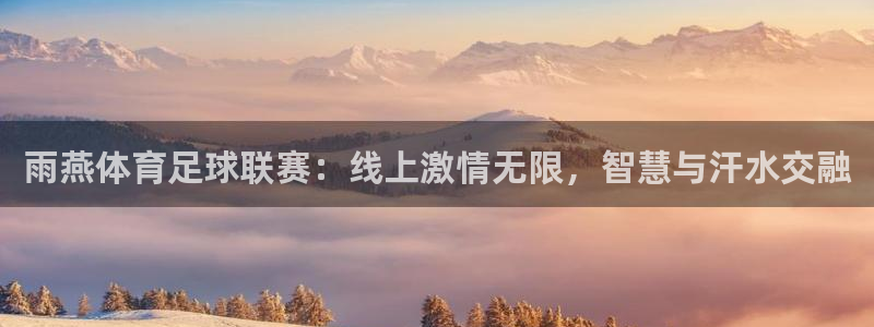 雨燕体育足球联赛：线上激情无限，智慧与汗水交融