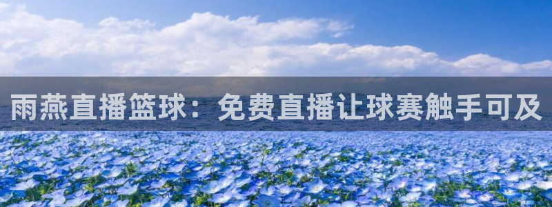 雨燕直播篮球：免费直播让球赛触手可及