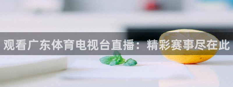 观看广东体育电视台直播：精彩赛事尽在此