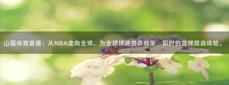 山猫体育直播：从NBA走向全球，为全球球迷提供独家、即时的篮球观战体验。