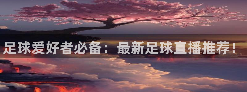 足球爱好者必备：最新足球直播推荐！