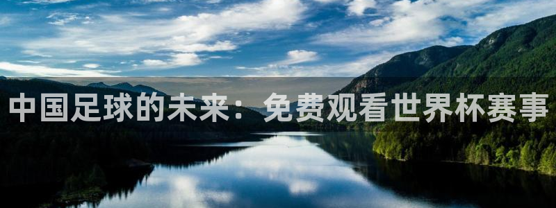 中国足球的未来：免费观看世界杯赛事