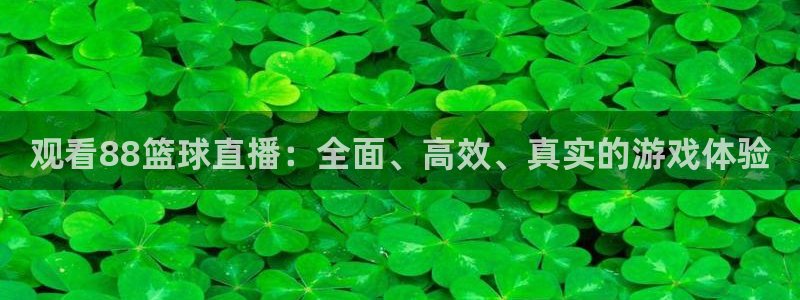 观看88篮球直播：全面、高效、真实的游戏体验