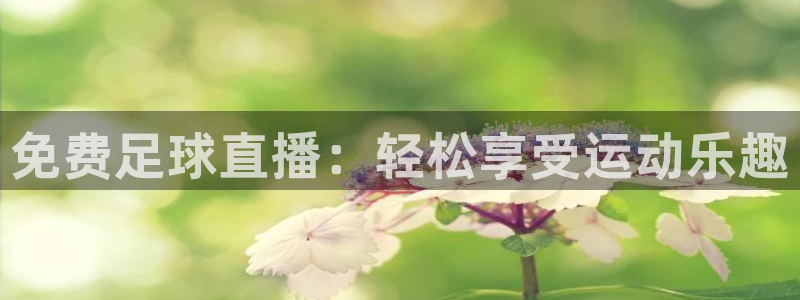 免费足球直播：轻松享受运动乐趣