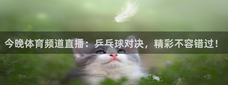 今晚体育频道直播：乒乓球对决，精彩不容错过！