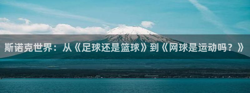 斯诺克世界：从《足球还是篮球》到《网球是运动吗？》