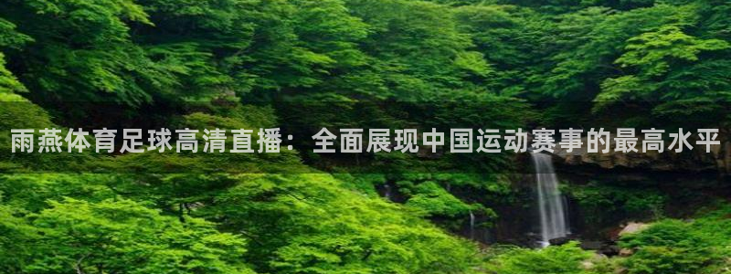 雨燕体育足球高清直播：全面展现中国运动赛事的最高水平