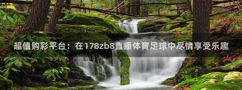 超值购彩平台：在178zb8直播体育足球中尽情享受乐趣