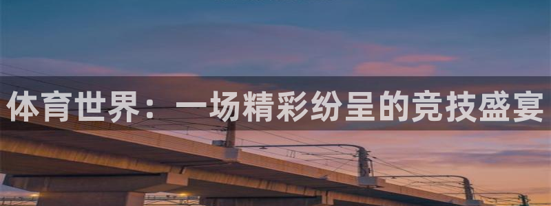 体育世界：一场精彩纷呈的竞技盛宴