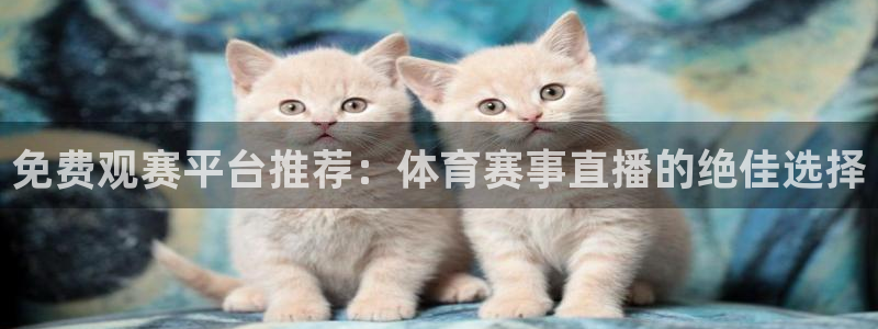 免费观赛平台推荐：体育赛事直播的绝佳选择