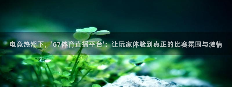 电竞热潮下，\'67体育直播平台\'：让玩家体验到真正的比赛氛围与激情