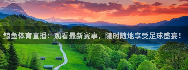 鲸鱼体育直播：观看最新赛事，随时随地享受足球盛宴！