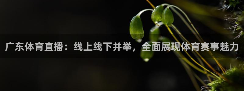 广东体育直播：线上线下并举，全面展现体育赛事魅力