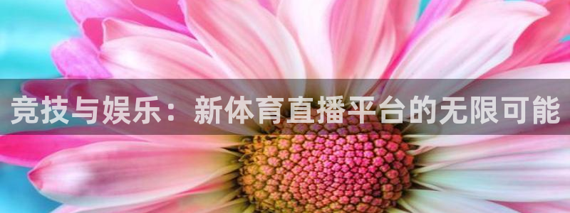 竞技与娱乐：新体育直播平台的无限可能