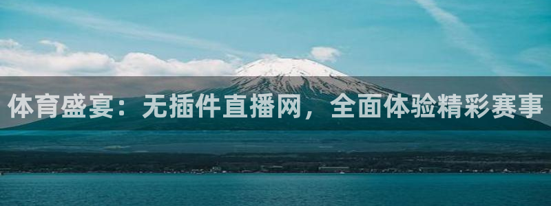 体育盛宴：无插件直播网，全面体验精彩赛事