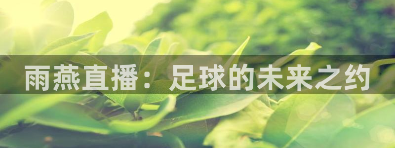 雨燕直播：足球的未来之约