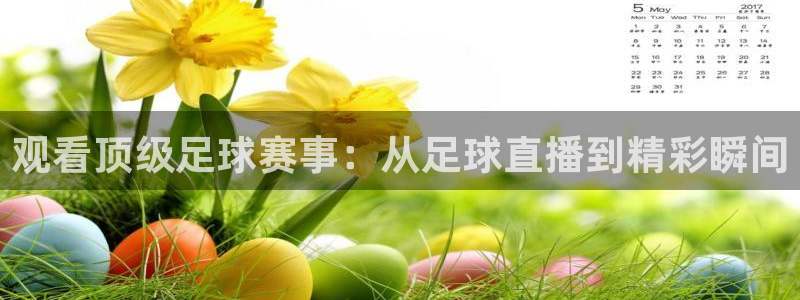 观看顶级足球赛事：从足球直播到精彩瞬间