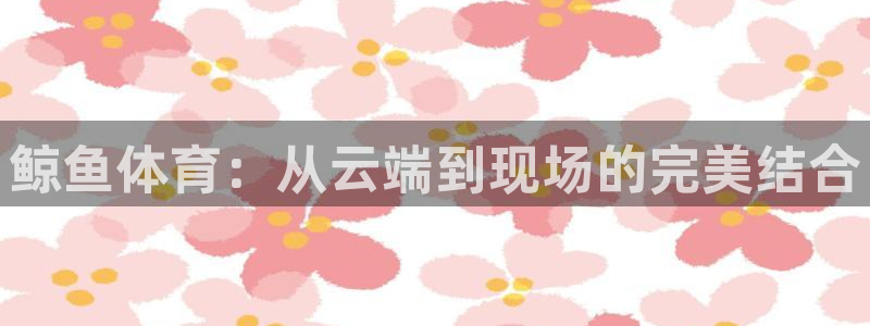 鲸鱼体育：从云端到现场的完美结合