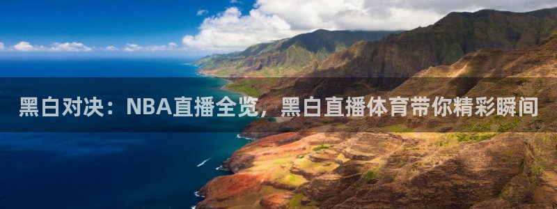 黑白对决：NBA直播全览，黑白直播体育带你精彩瞬间