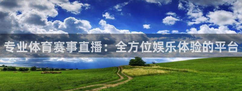 专业体育赛事直播：全方位娱乐体验的平台