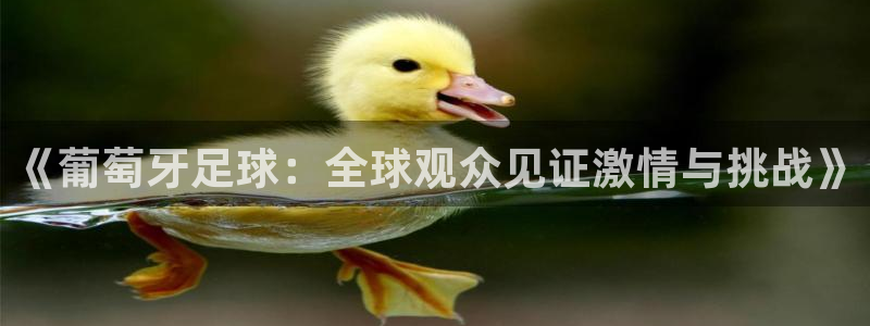 《葡萄牙足球：全球观众见证激情与挑战》