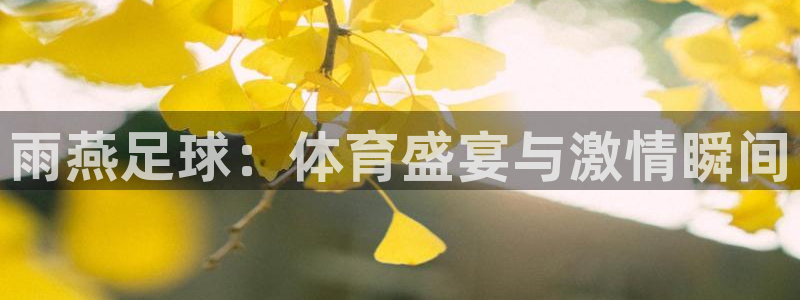 雨燕足球：体育盛宴与激情瞬间