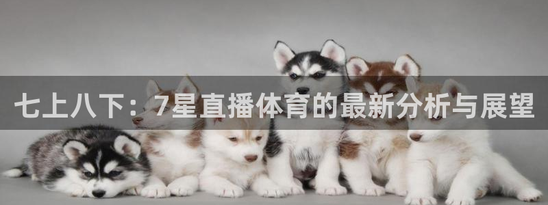 七上八下：7星直播体育的最新分析与展望