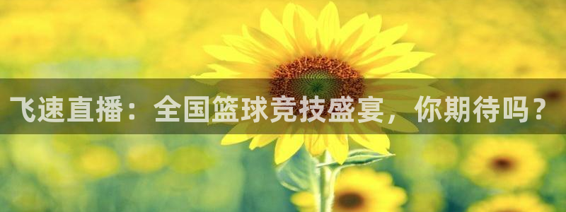 飞速直播：全国篮球竞技盛宴，你期待吗？