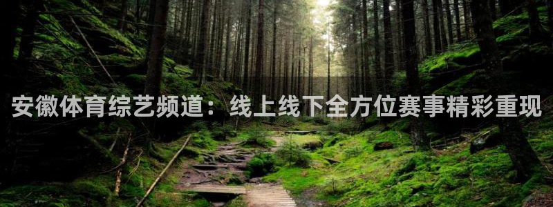 安徽体育综艺频道：线上线下全方位赛事精彩重现