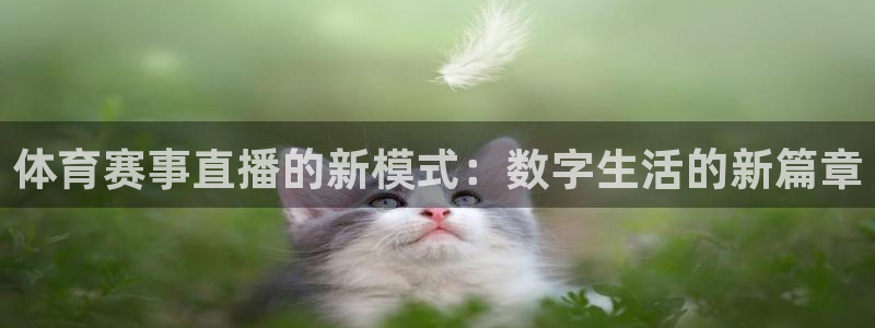 体育赛事直播的新模式：数字生活的新篇章