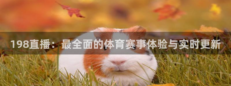 198直播：最全面的体育赛事体验与实时更新