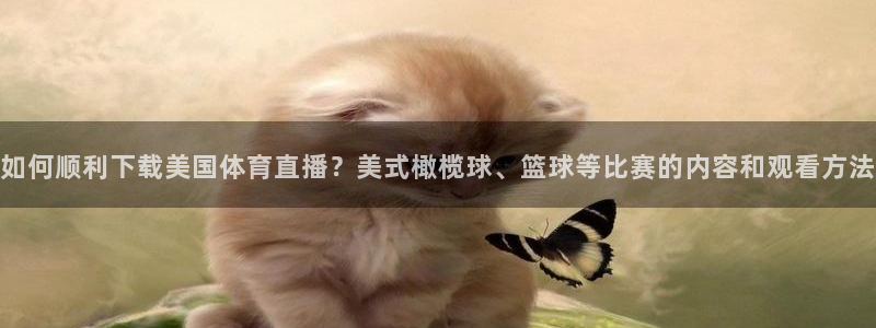 如何顺利下载美国体育直播？美式橄榄球、篮球等比赛的内容和观看方法