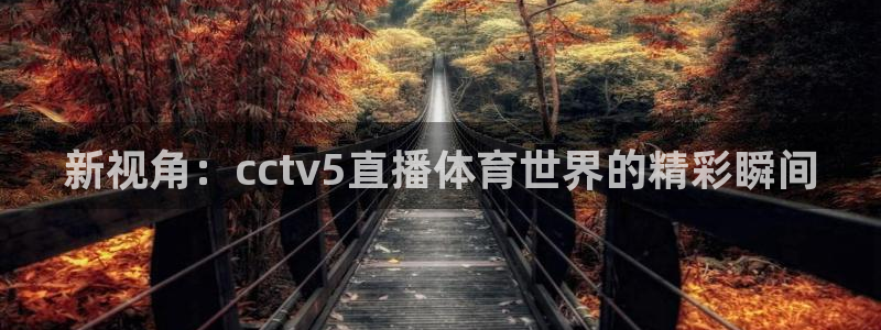 新视角：cctv5直播体育世界的精彩瞬间