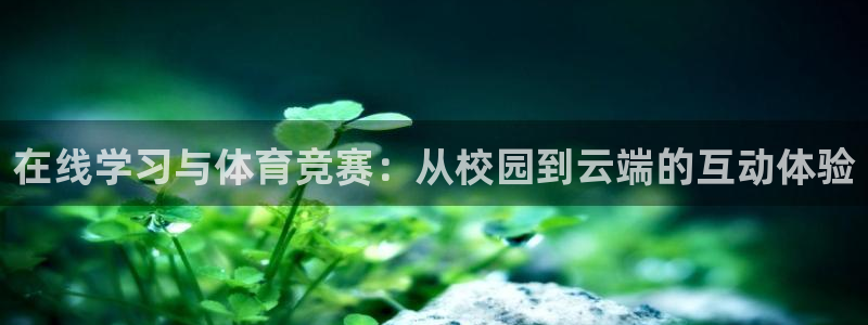 在线学习与体育竞赛：从校园到云端的互动体验