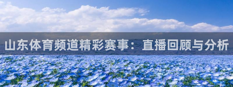 山东体育频道精彩赛事：直播回顾与分析