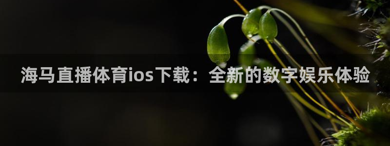 海马直播体育ios下载：全新的数字娱乐体验