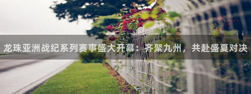 龙珠亚洲战纪系列赛事盛大开幕：齐聚九州，共赴盛夏对决