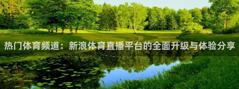 热门体育频道：新浪体育直播平台的全面升级与体验分享