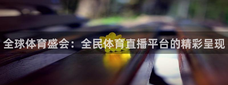 全球体育盛会：全民体育直播平台的精彩呈现