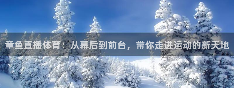 章鱼直播体育：从幕后到前台，带你走进运动的新天地