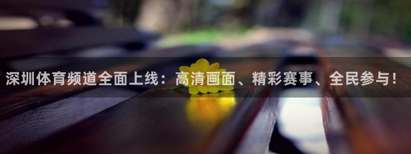 深圳体育频道全面上线：高清画面、精彩赛事、全民参与！