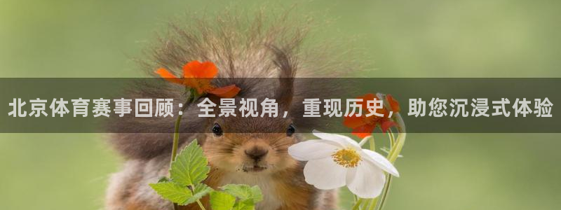 北京体育赛事回顾：全景视角，重现历史，助您沉浸式体验